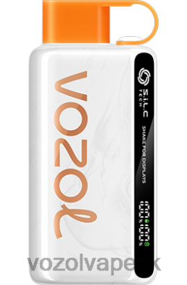 VOZOL Bratislava - VOZOL STAR 9000/12000 JTVNL44 mexický mangový ľad
