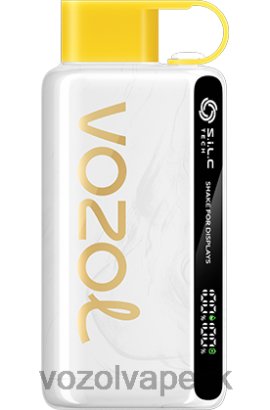 VOZOL Vape Online - VOZOL STAR 9000/12000 JTVNL25 kiwi mučenka guava