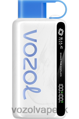 VOZOL Vape - VOZOL STAR 9000/12000 JTVNL22 čučoriedková búrka