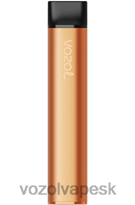 VOZOL Slovensko - VOZOL SWITCH 600 JTVNL226 mangový ľad