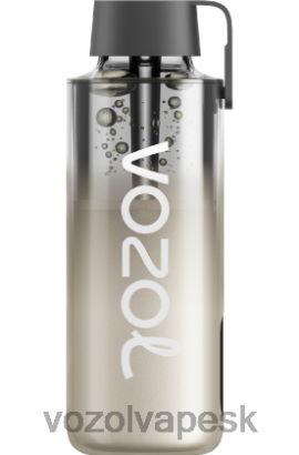 VOZOL Vape Review - VOZOL NEON 10 000 JTVNL230 černicová búrka