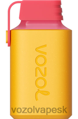 VOZOL SK - VOZOL GEAR 600 JTVNL363 citrón limetka