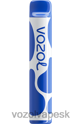 VOZOL Vape Review - VOZOL JOYGO 600 JTVNL390 čučoriedková búrka