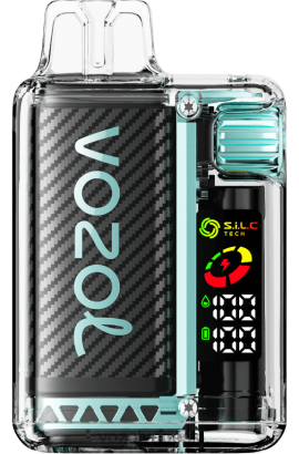 VOZOL Vape Amazon - VOZOL VISTA 16000/20000 JTVNL9 miamská mäta