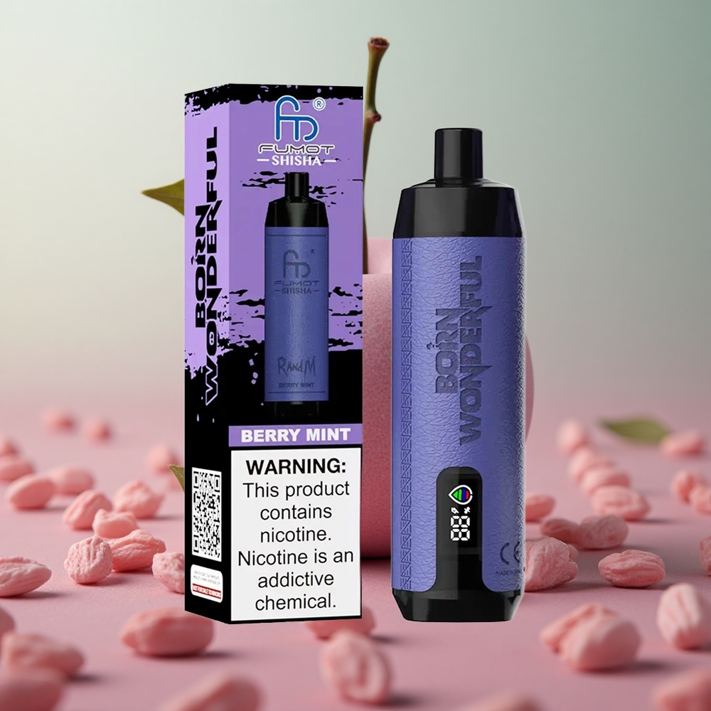 RandM Fumot Shisha 10000 Puffs Bobuľová Mäta 18ml Slovakia vape wholesale