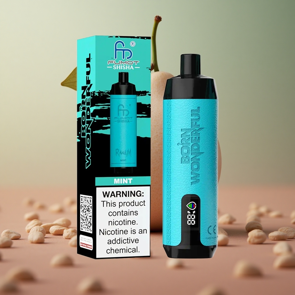 RandM Fumot Shisha 10000 Puffs Mätový 18ml Slovakia vape wholesale