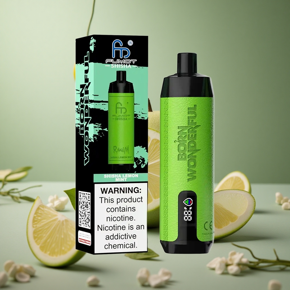 RandM Fumot Shisha 10000 Puffs Šiša Ako Mäta 18ml Slovakia vape wholesale