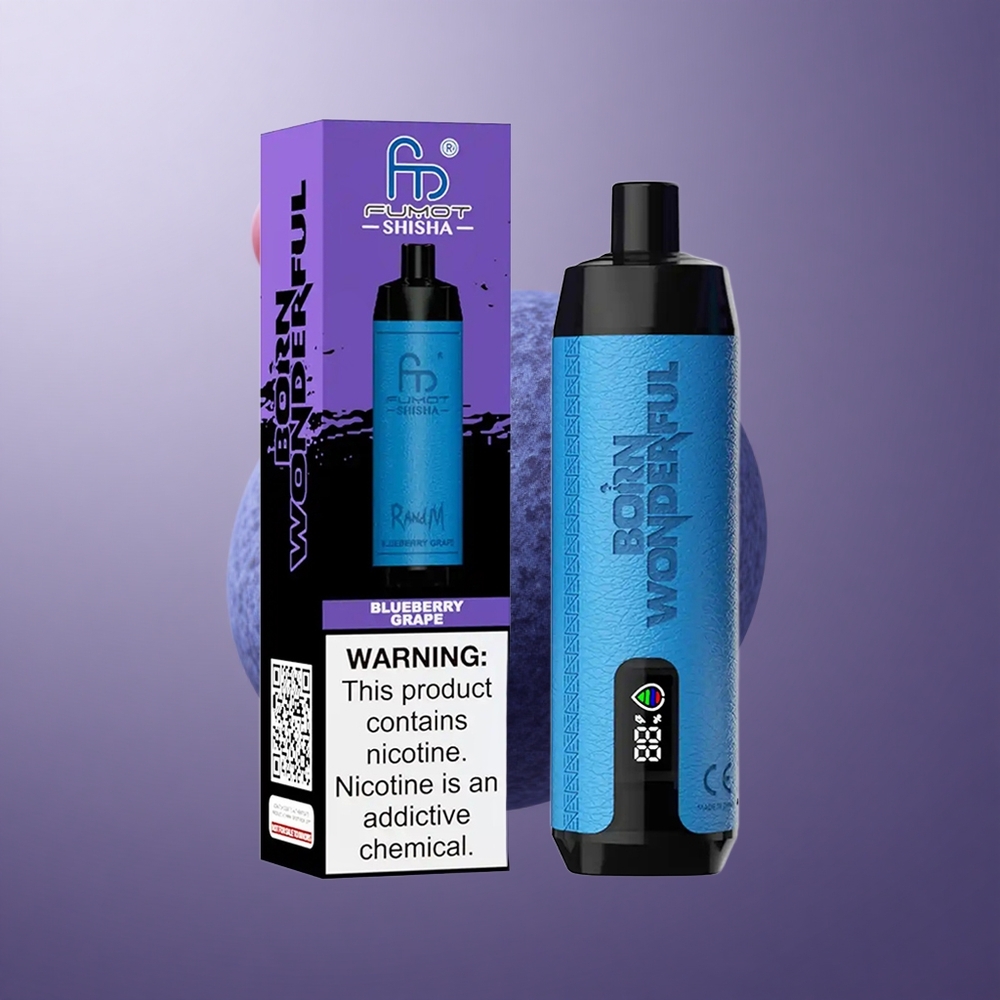 RandM Fumot Shisha 10000 Puffs Čučoriedka Hroznové Slovakia vape wholesale