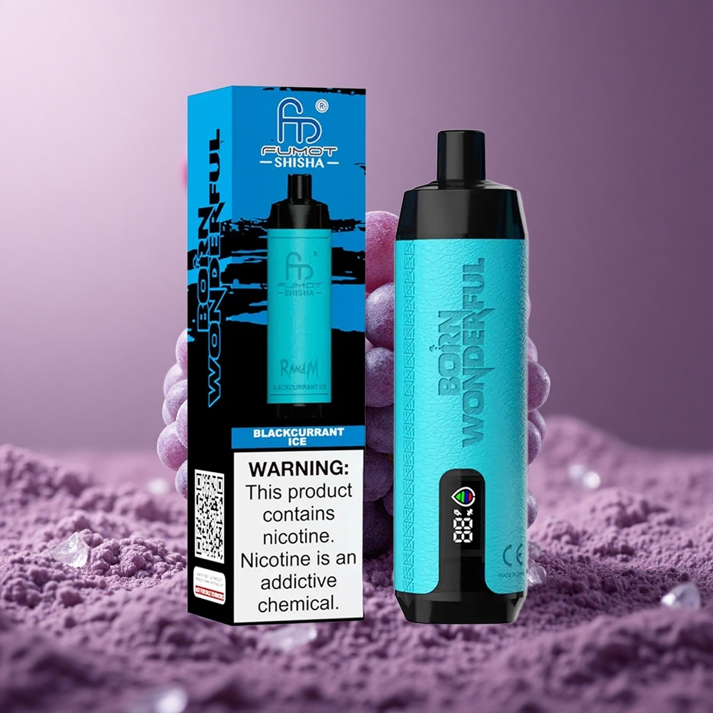 RandM Fumot Shisha 10000 Puffs Čučoriedkový ľad 18ml Slovakia vape wholesale