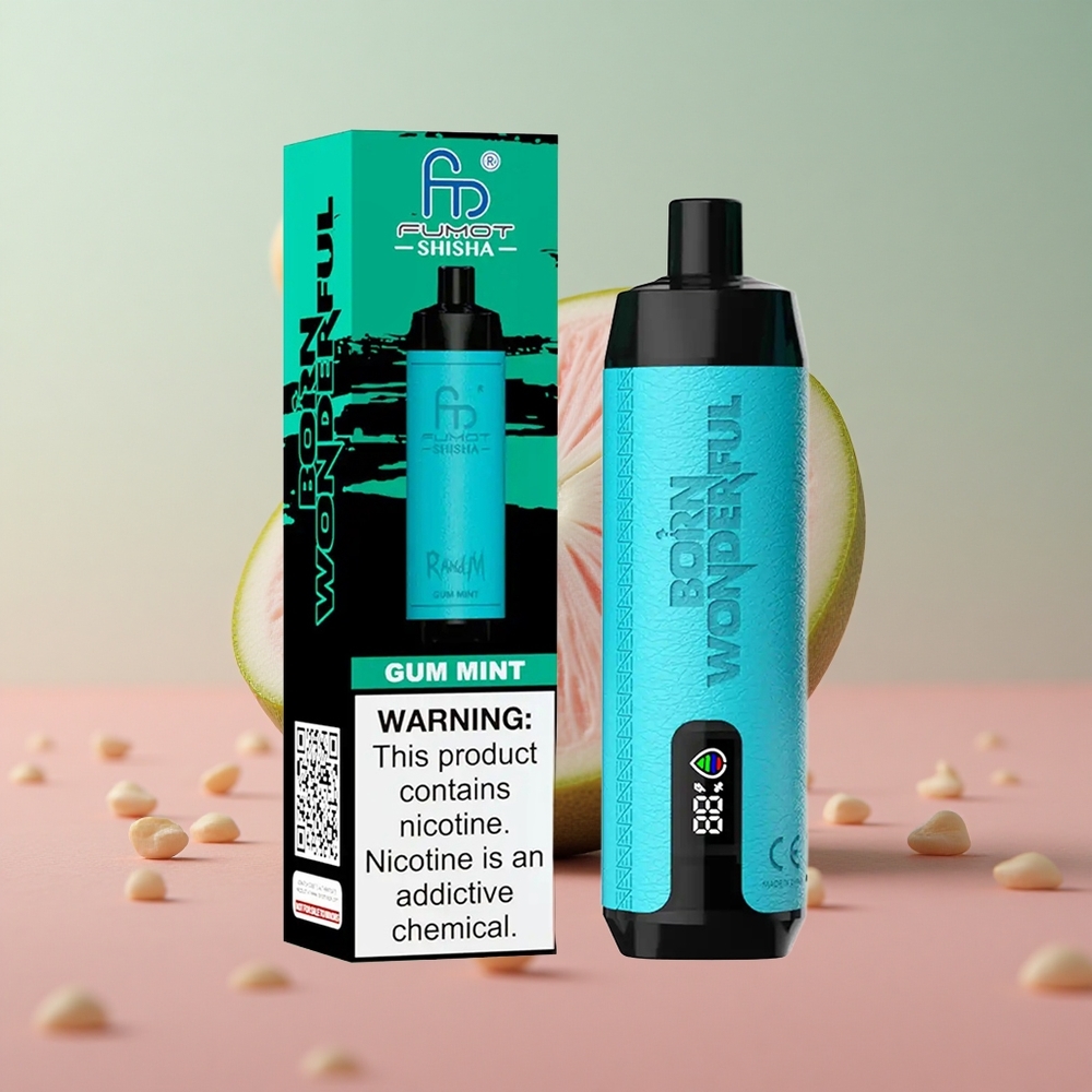 RandM Fumot Shisha 10000 Puffs Žuvačka Mätový 18ml Slovakia vape wholesale